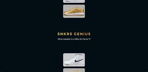 snkrs pc download.